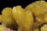 Sunshine Cactus Quartz Crystal - South Africa #96265-1